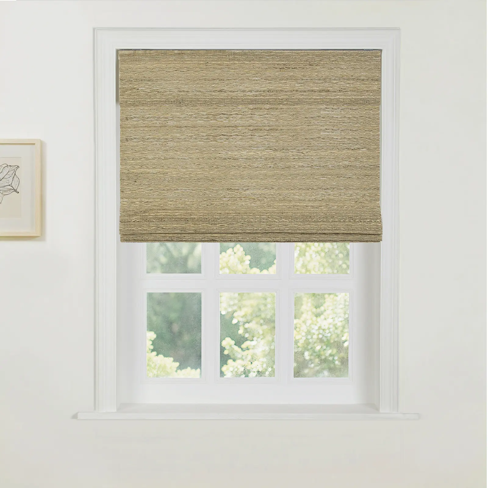 Product image 123