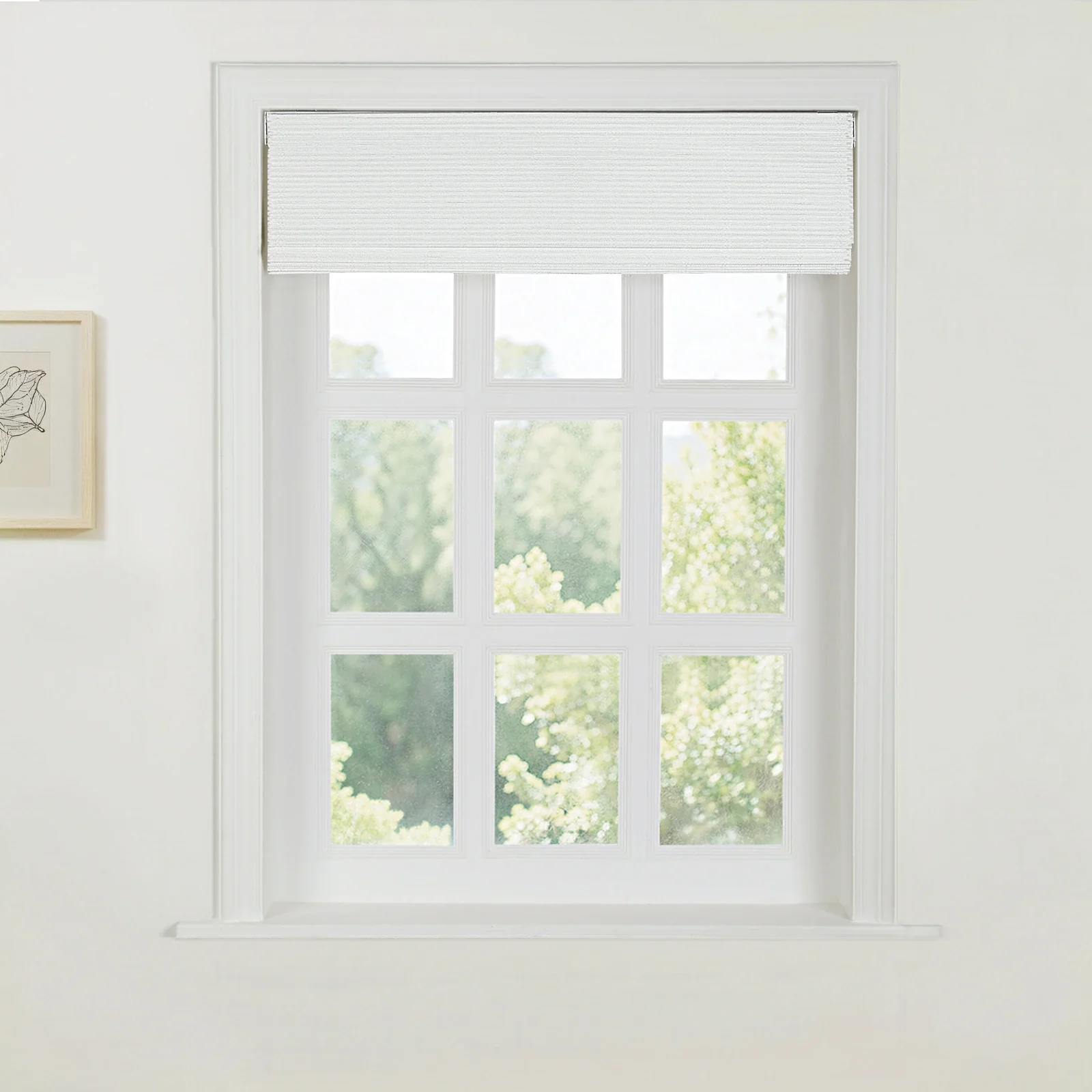 Product image 147